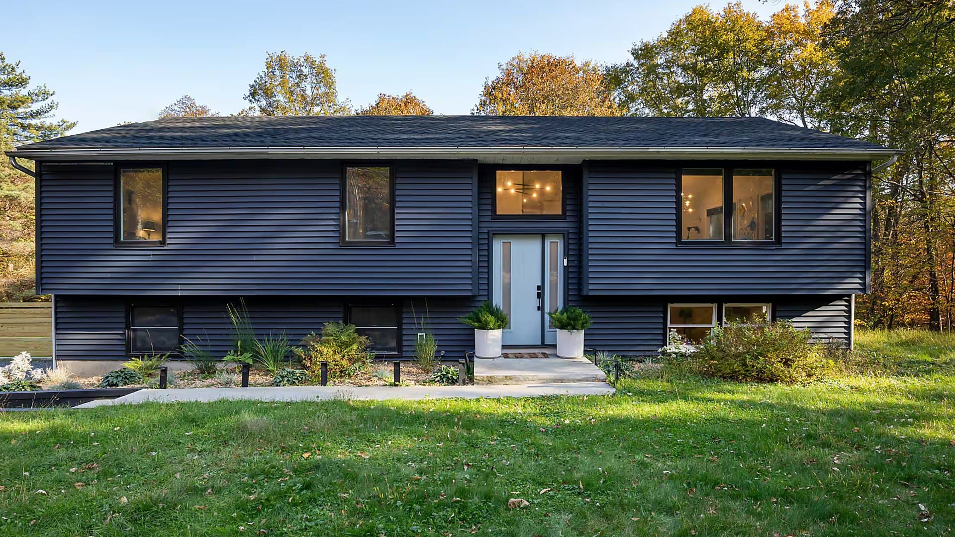 The Blue House