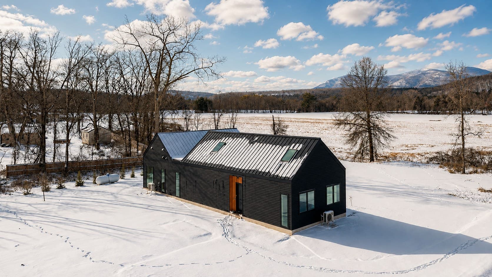 The house in winter